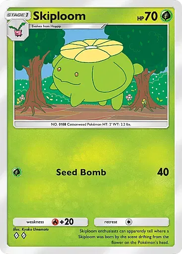Skiploom