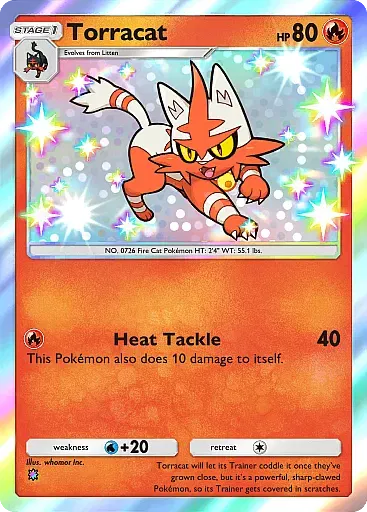 Torracat